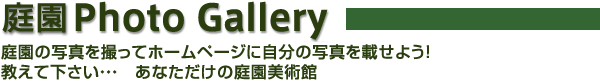 Photo gallery