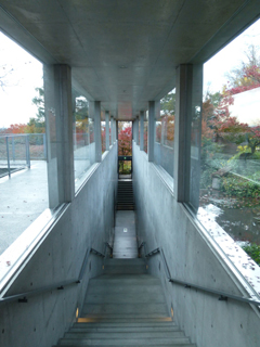 写真3：地中館入口の階段