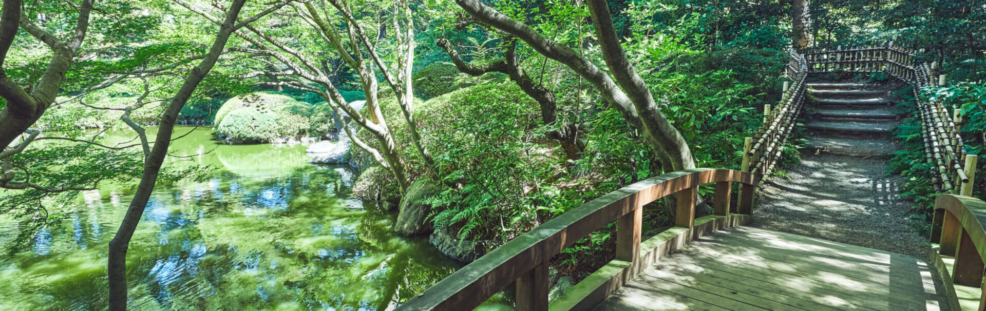 東京都庭園美術館の日本庭園の橋と池の写真