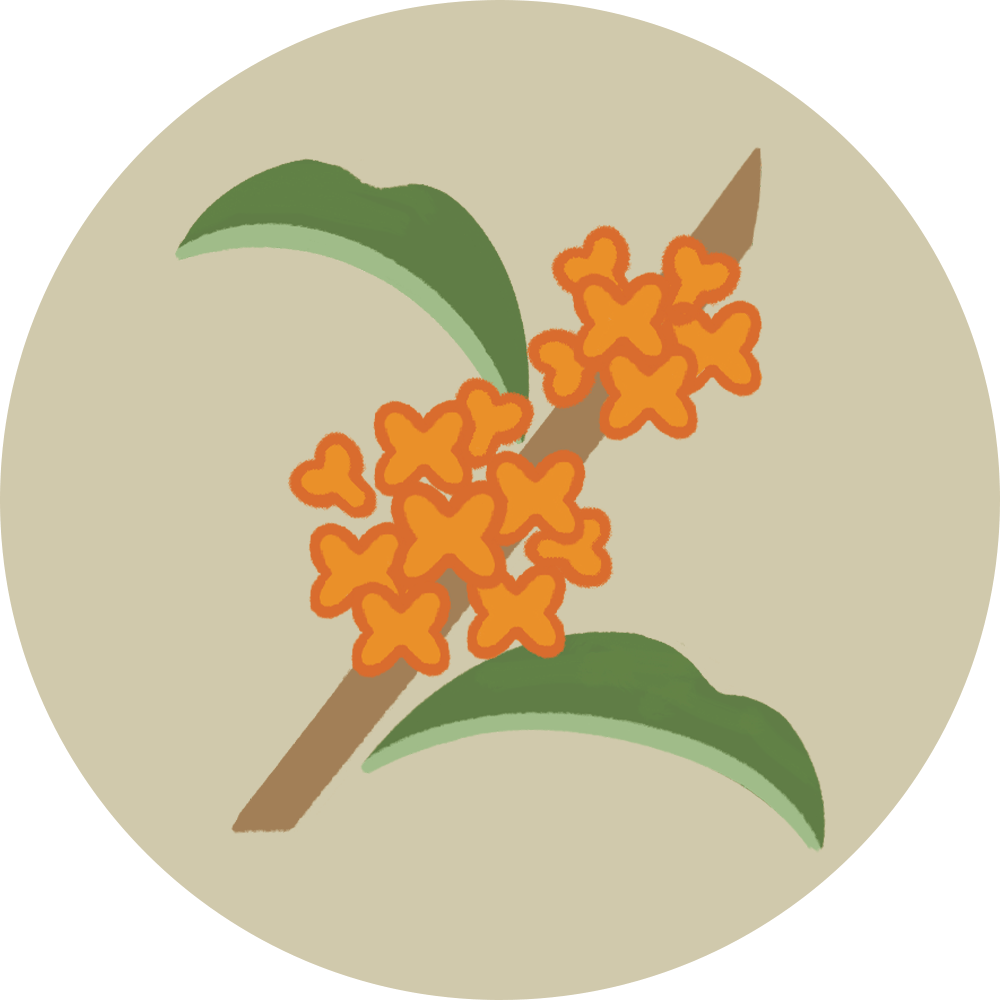 桂花
