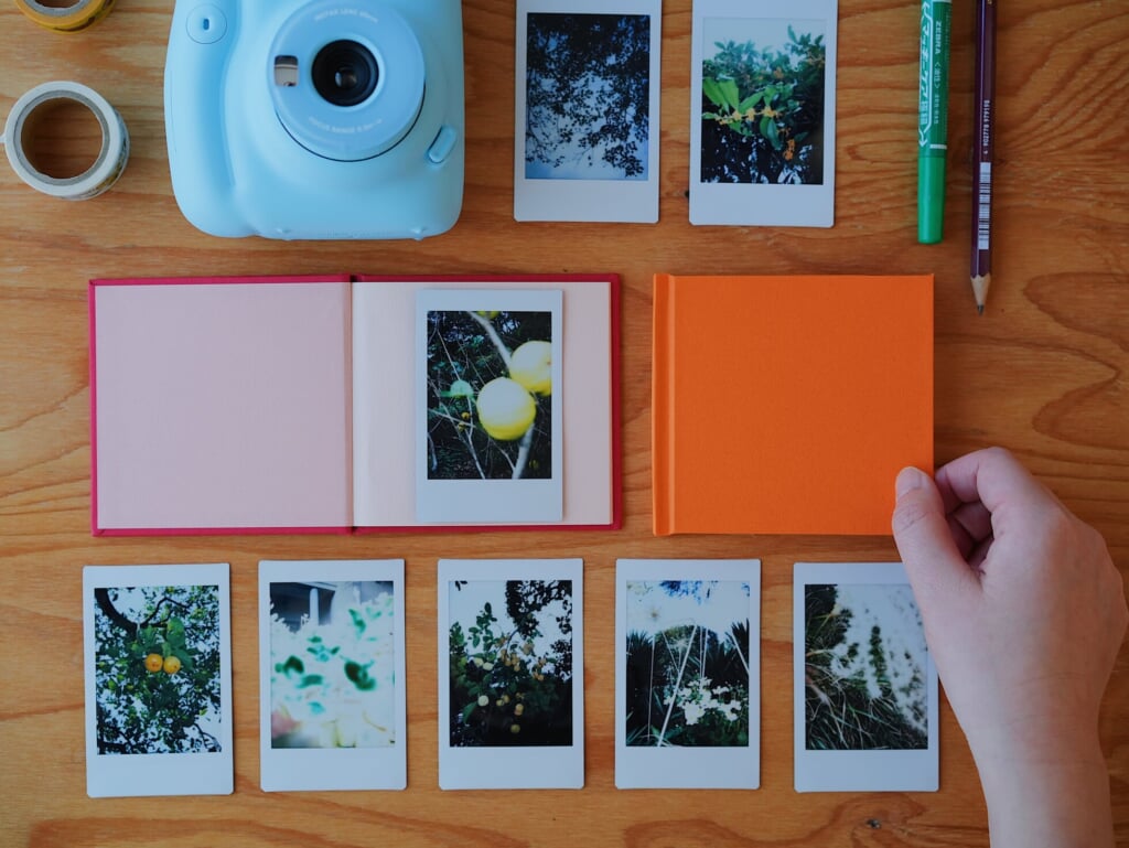 テーブルの上に水色のインスタントカメラと植物が写ったフィルムとミニ絵本が置かれている様子