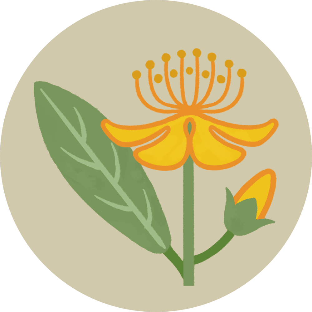 St. John's Wort