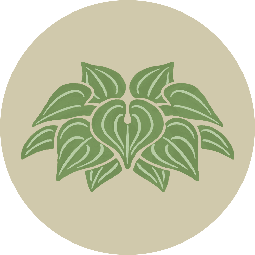 Hosta