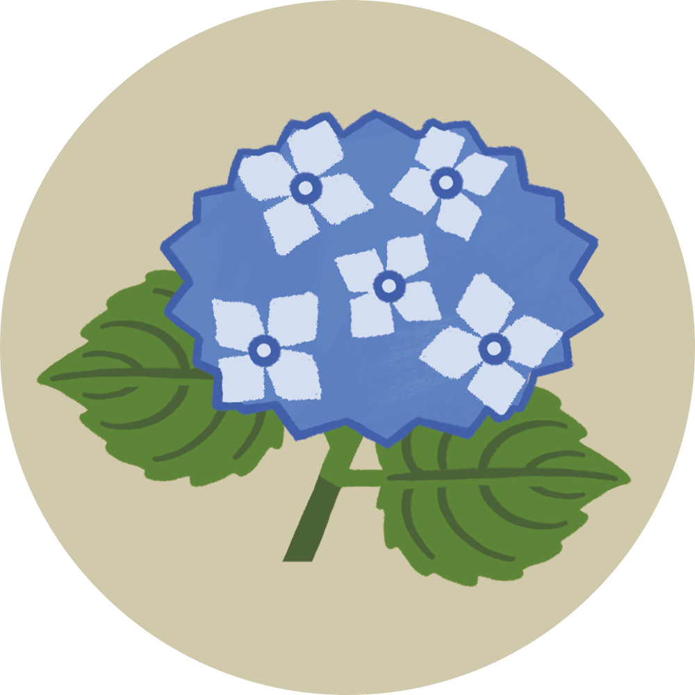 绣球花