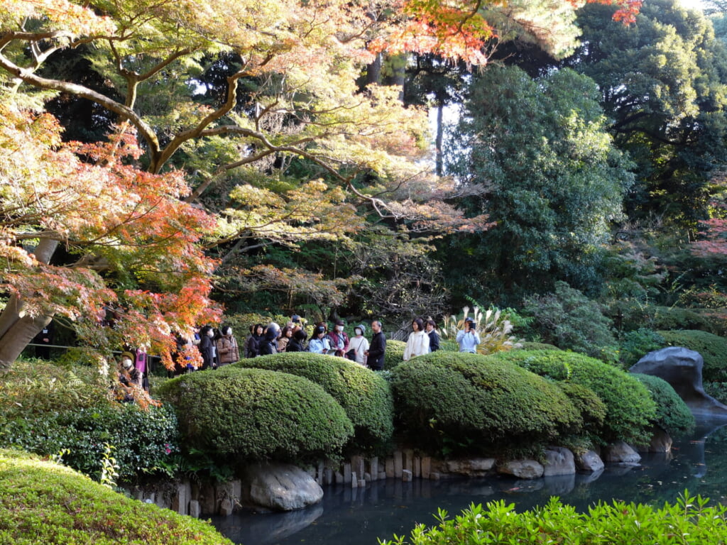 紅葉し始めた日本庭園を説明するガイドをそれを聞く聴衆