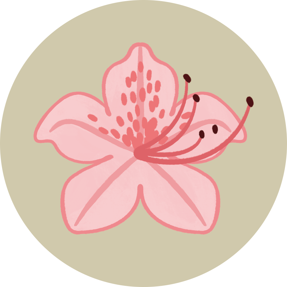 Rhododendron