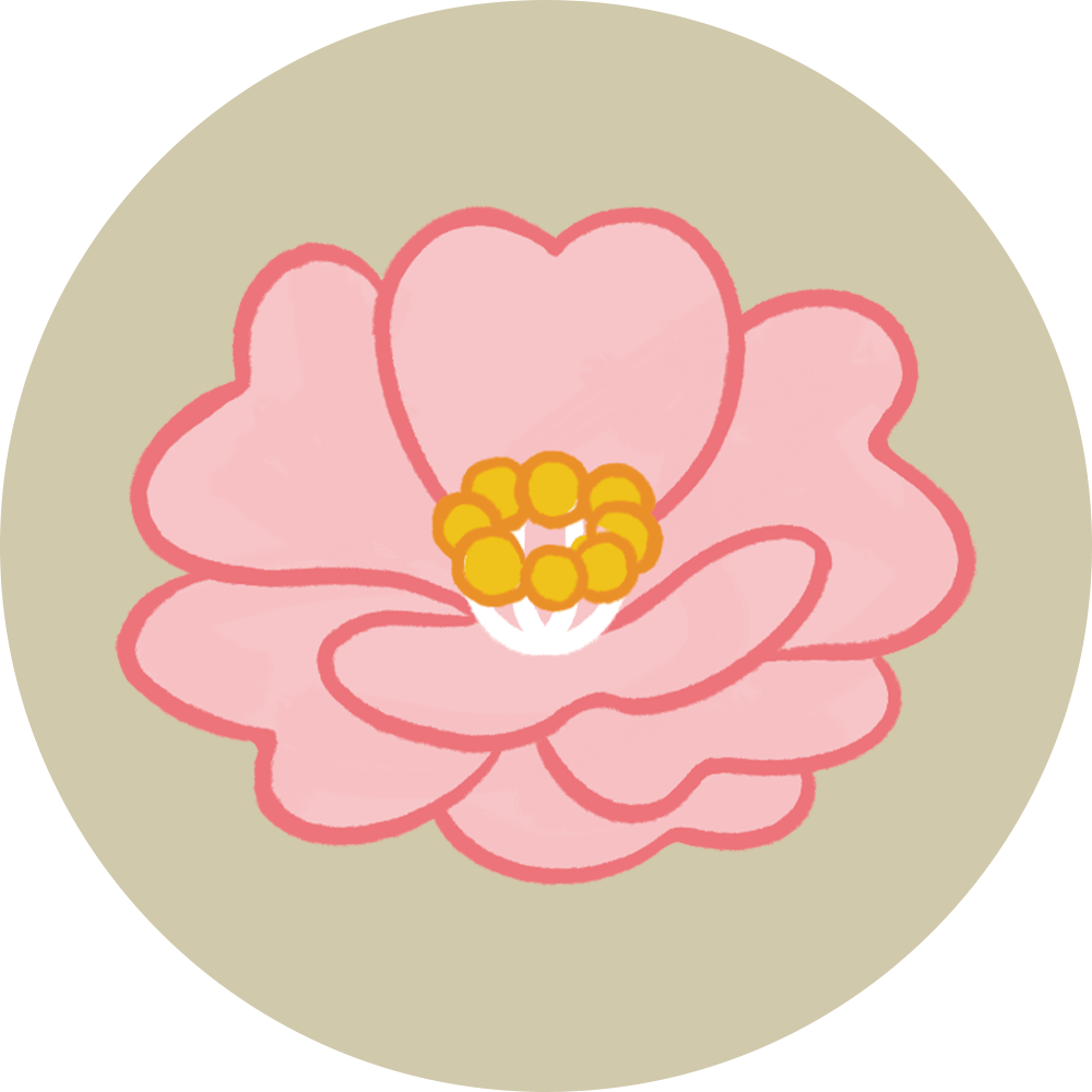 Camellia sasanqua