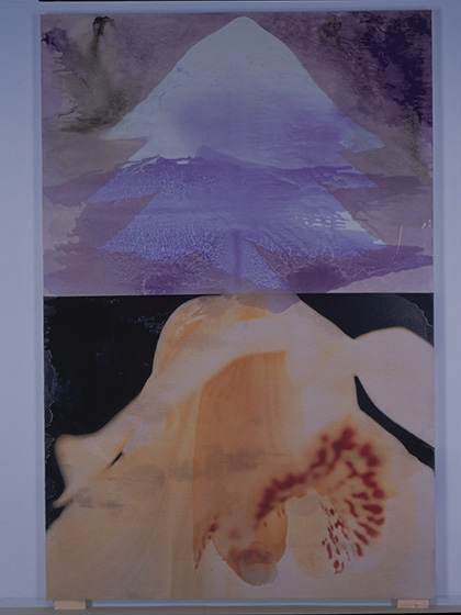 山口啓介《花の心臓/蘭、紫の雲》2002 photo: 高嶋清俊