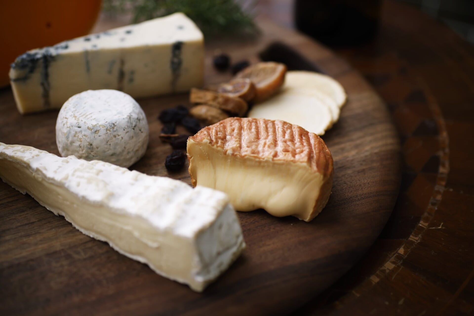 白くてやわらかそうなチーズなどたくさんの種類のチーズが盛り付けられている写真