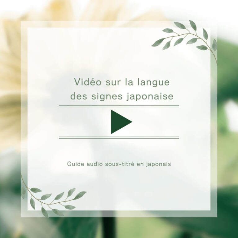 Lien vers la page de présentation de l'établissement en langue des signes