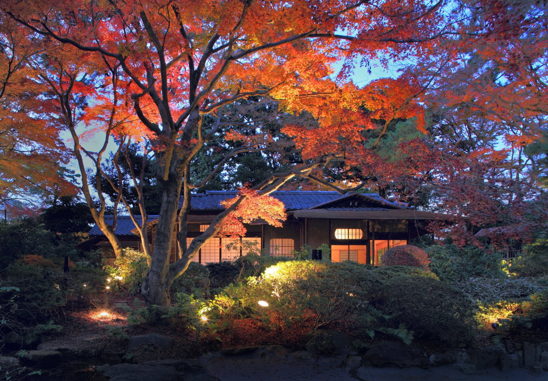 茶室「光華」の特別公開 | 東京都庭園美術館 | TOKYO