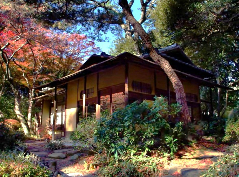 紅葉が散り始める晩秋の茶室「光華」の外観