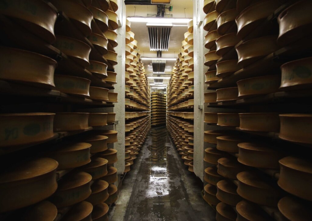 チーズの貯蔵庫（フランス、サヴォワ地方）　　撮影：合田昌弘