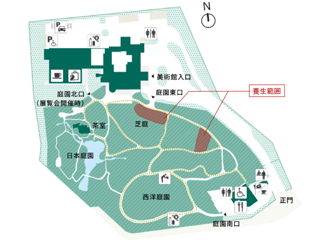 芝庭の芝の養生範囲の一部2か所を表した図