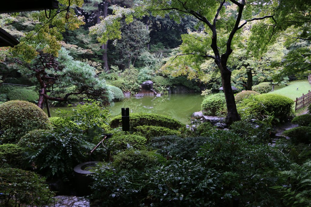 日本庭園の風景。